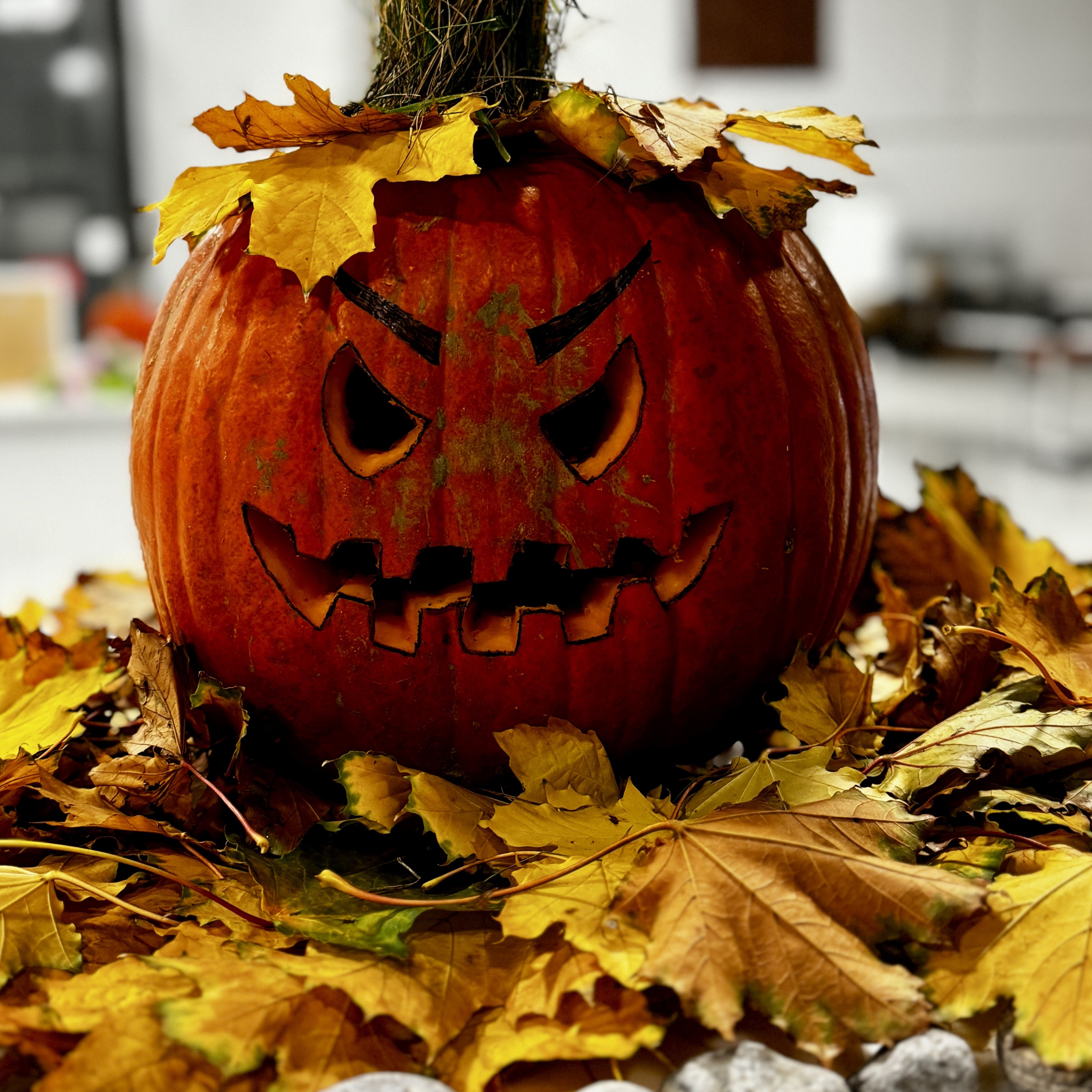 Pumpkin Pies